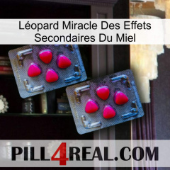Léopard Miracle Des Effets Secondaires Du Miel 14